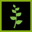 Icon for Green Vine