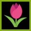 Icon for Pink Rose