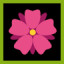 Icon for Pink Flower