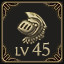 Icon for Reach Lvl 45 with a character