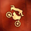 Icon for Stuntman