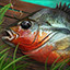 Icon for Black bass angler