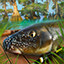 Icon for Catostomidae angler