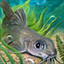 Icon for Claroteidae angler