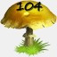 Mushrooms Collected 104