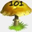 Mushrooms Collected 101