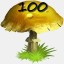 Mushrooms Collected 100