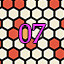 Completionist