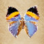 Icon for Butterfly Detective