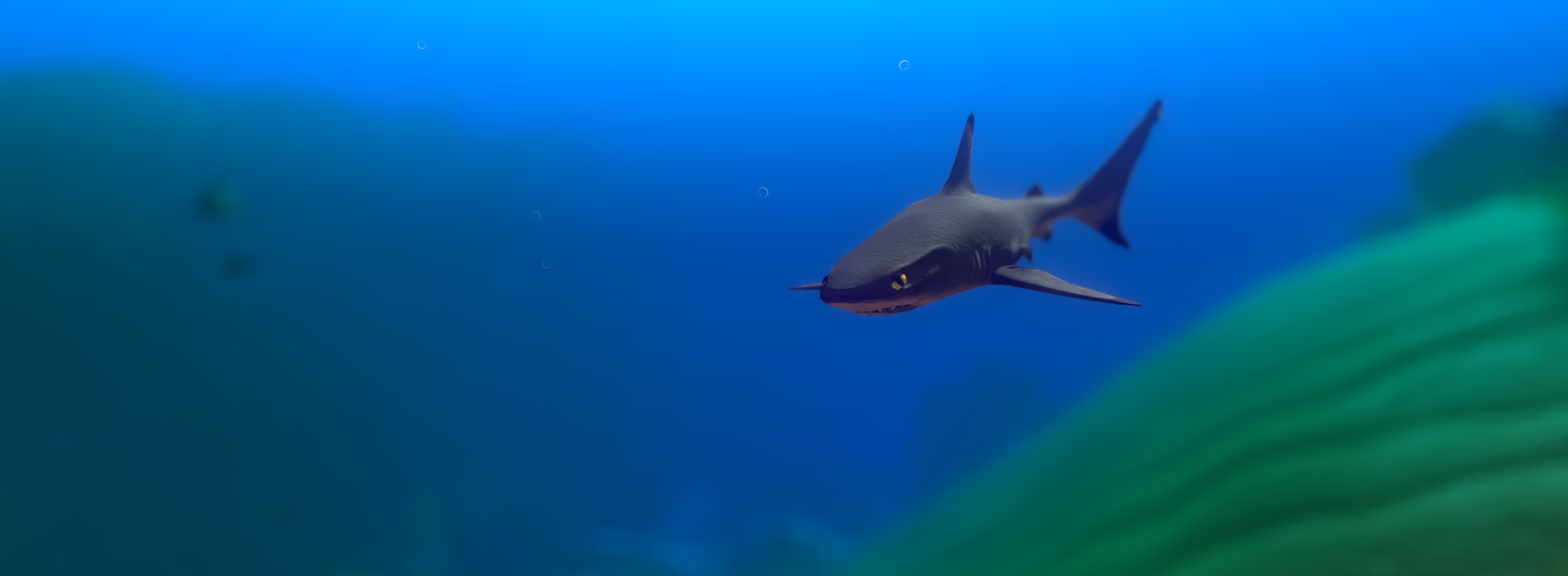 great white shark mod fish feed and grow