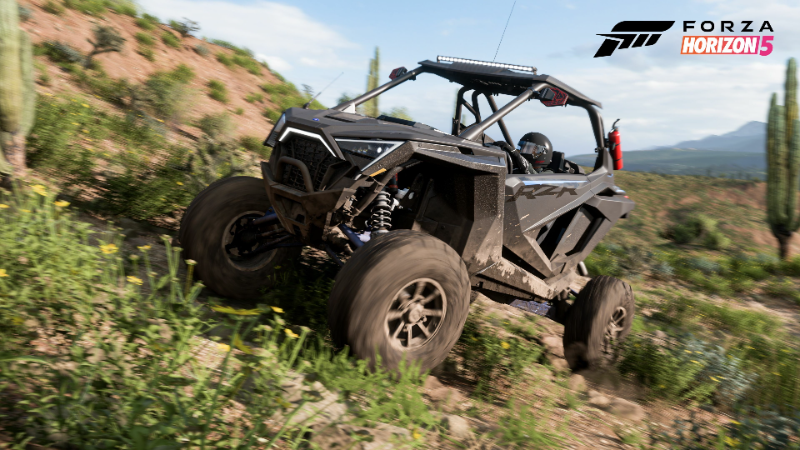 Forza Horizon Crawl Through Extreme Terrain In The Polaris Rzr Pro