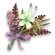 Riverton Hyacinth
