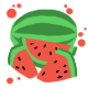 A whole lot of watermelon