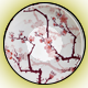 Cherry Blossom Sushi Plate