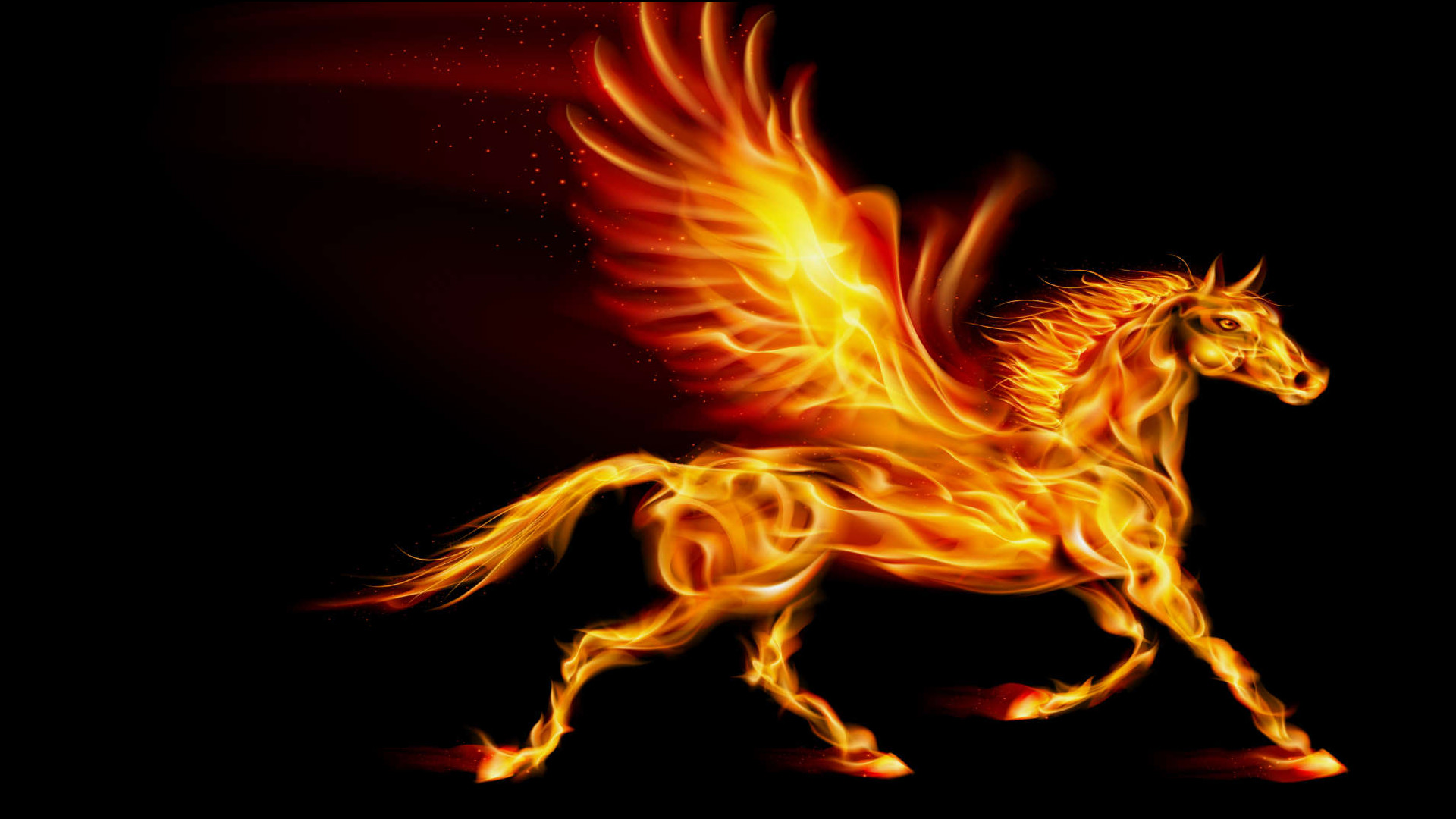 Fire Pegasus Pictures  www.pixshark.com - Images 