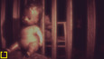 The Childs Sight picture2