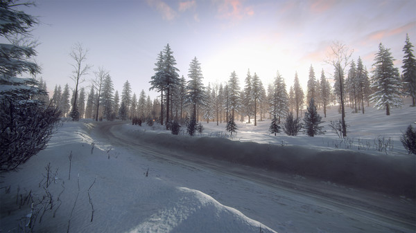 DiRT Rally 2.0 - Sweden (Rally Location) Thumbnail