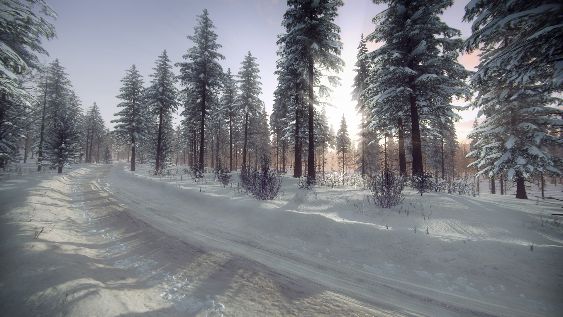 Dirt Rally 2 0 Sweden Rally Location On Steam Dirt Rally 2 0 Sweden Rally Location On Steam