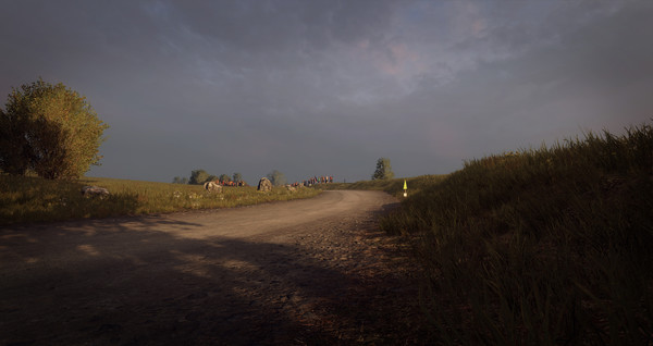 KHAiHOM.com - DiRT Rally 2.0 - Germany (Rally Location)