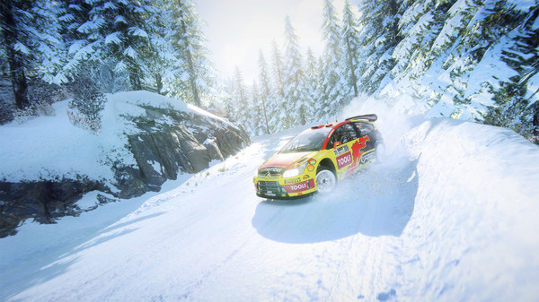 скриншот DiRT Rally 2.0 - Citroen C4 Rally 2