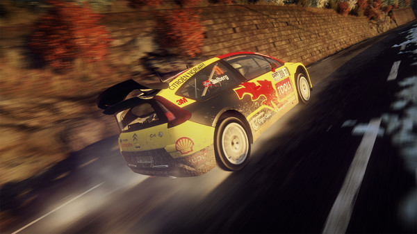 скриншот DiRT Rally 2.0 - Citroen C4 Rally 4