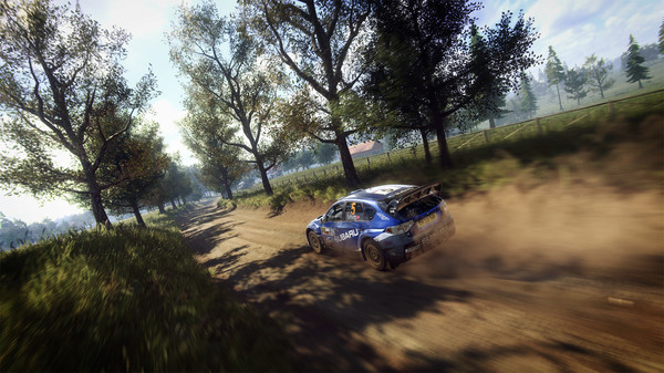 скриншот DiRT Rally 2.0 - Subaru Impreza 4