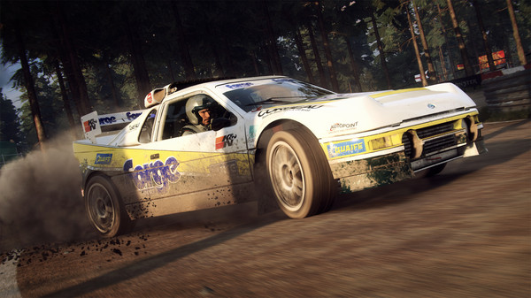 скриншот DiRT Rally 2.0 - Ford RS200 Evolution 2