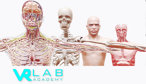 human anatomy vr ps4