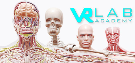 VRLab Academy Anatomy VR on Steam