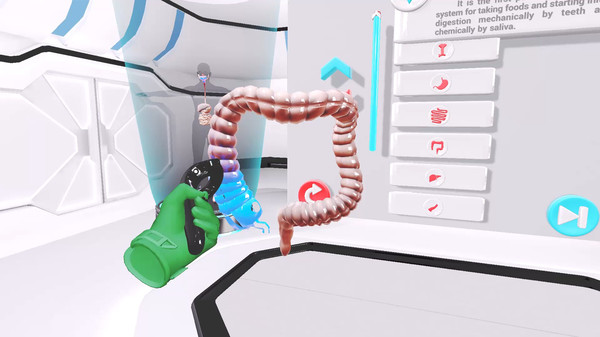 скриншот VRLab Academy: Anatomy VR 3