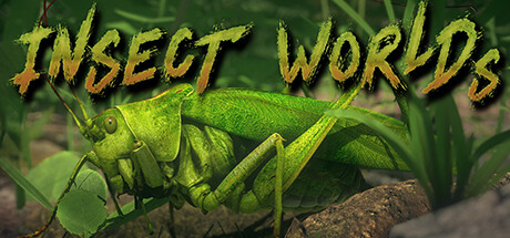 Insect Worlds Cover Image