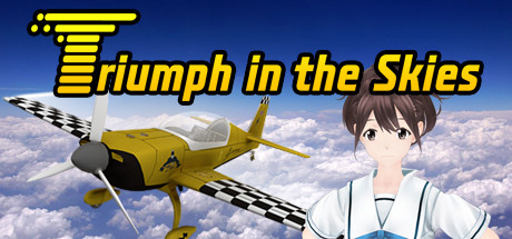 Triumph in the Skies Cover Image
