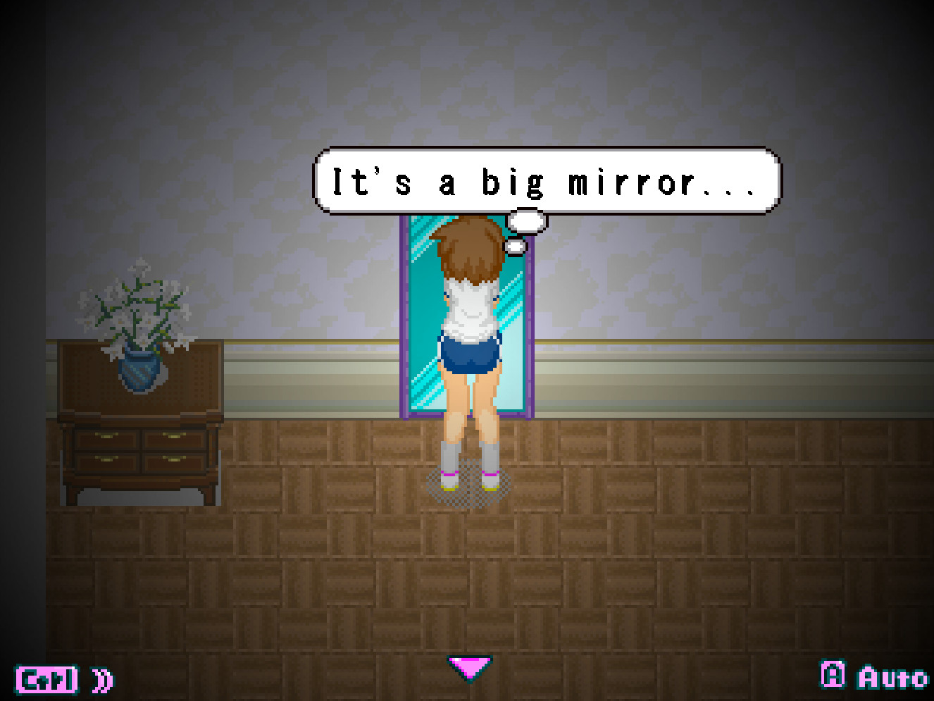 Alternate DiMansion Diary #5