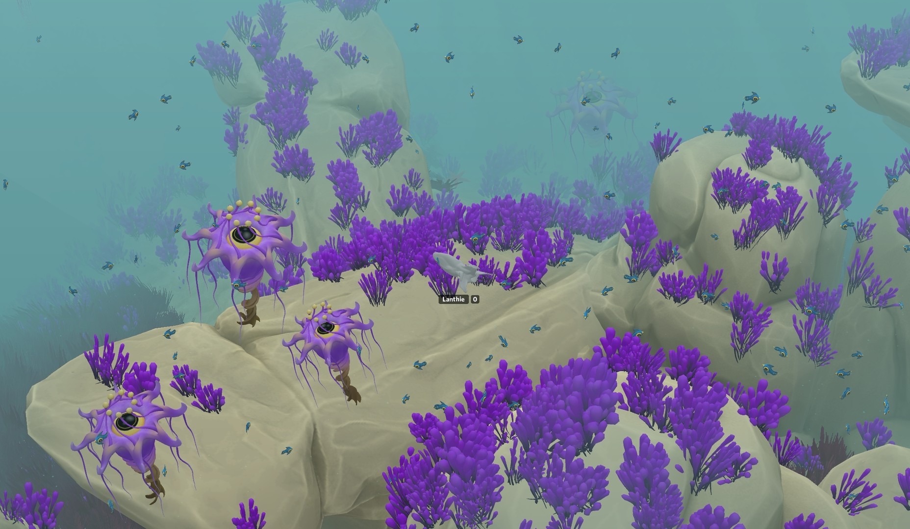 DeepStorm Online #12