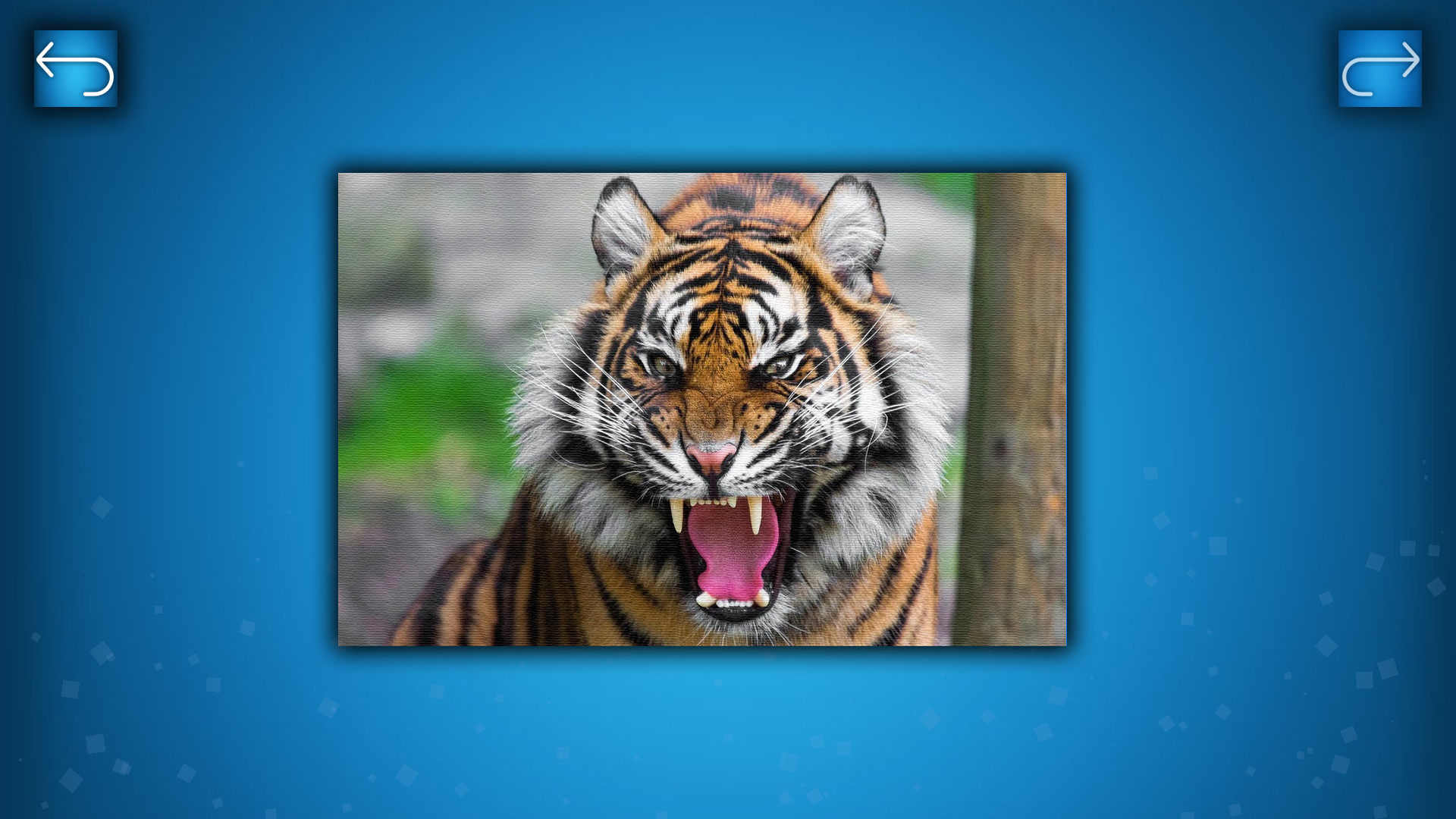 PUZZLE: ANIMALS screenshot 1