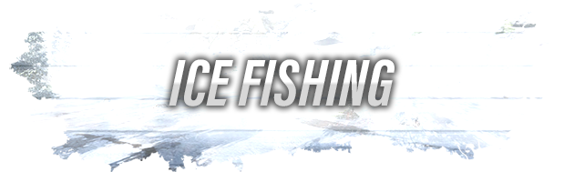 Сэкономьте 85% при покупке Ultimate Fishing Simulator VR в Steam