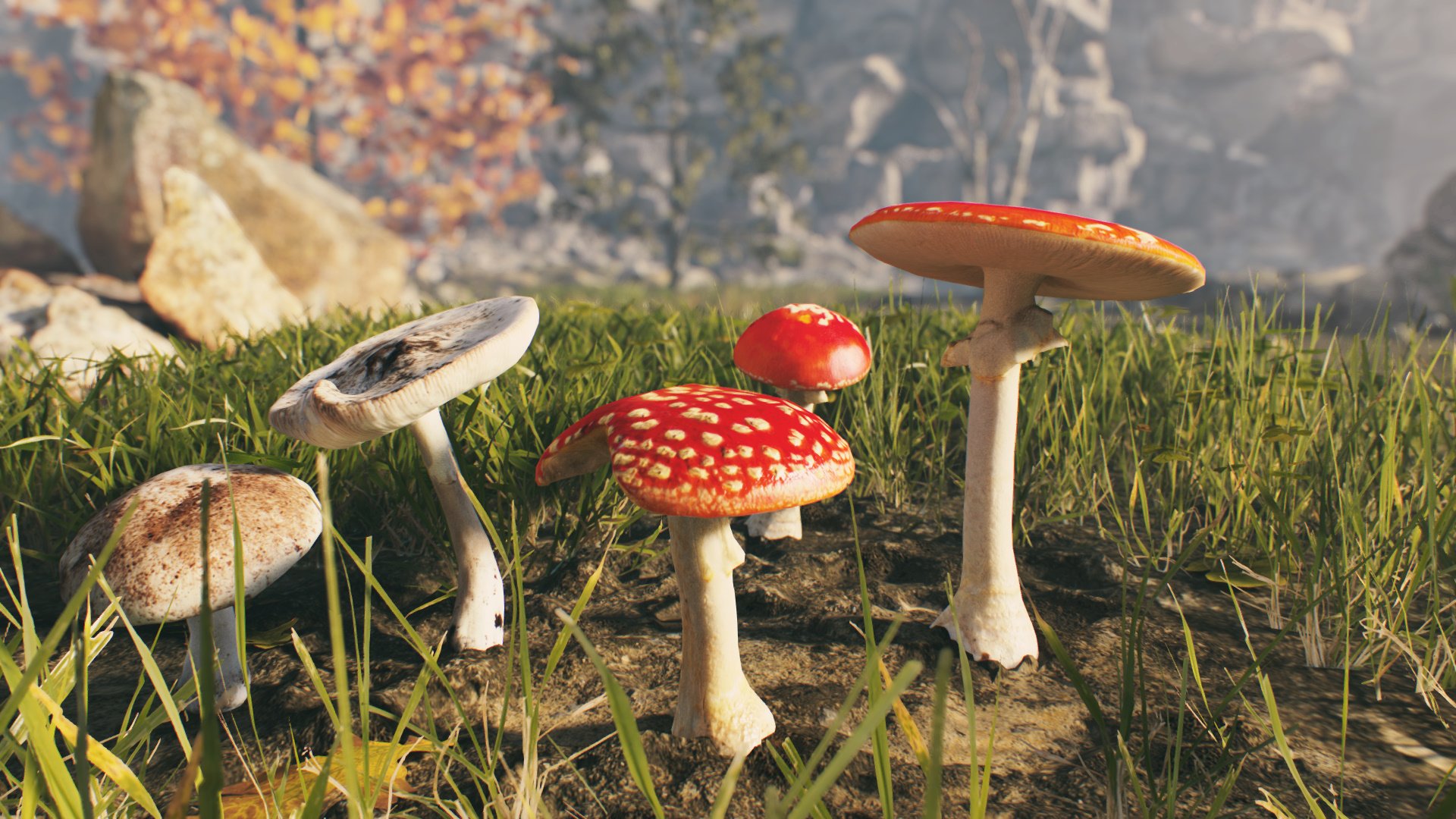 AppGameKit Studio #7