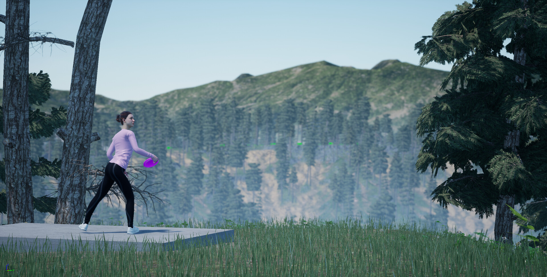 Perfect Round Disc Golf #4