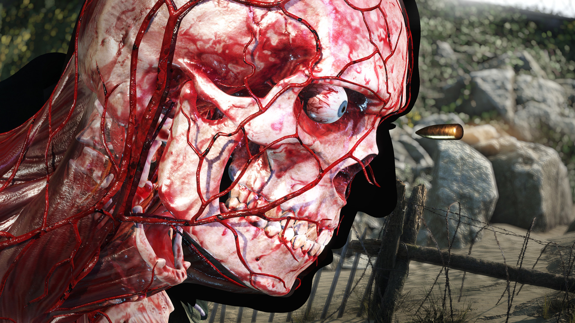 Sniper Elite 5 screenshot 14