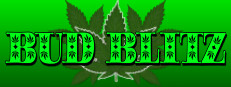 Bud Blitz 게임 이미지