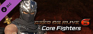 DOA6 Character: Hayabusa