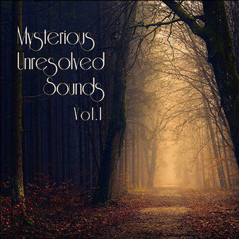 скриншот RPG Maker MV - Mysterious Unresolved Sounds Vol.1 0