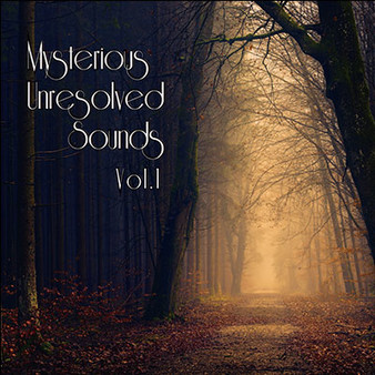 скриншот Visual Novel Maker - Mysterious Unresolved Sounds Vol.1 0