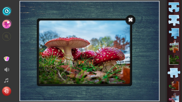 Classic Jigsaw Puzzles - Forest Jigsaw Puzzles