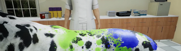 Animal Doctor