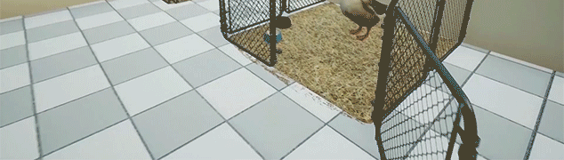Animal Doctor