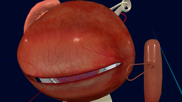 眼睛(眼球)结构研究 for steam 眼睛(眼球)结构研究 for steam
