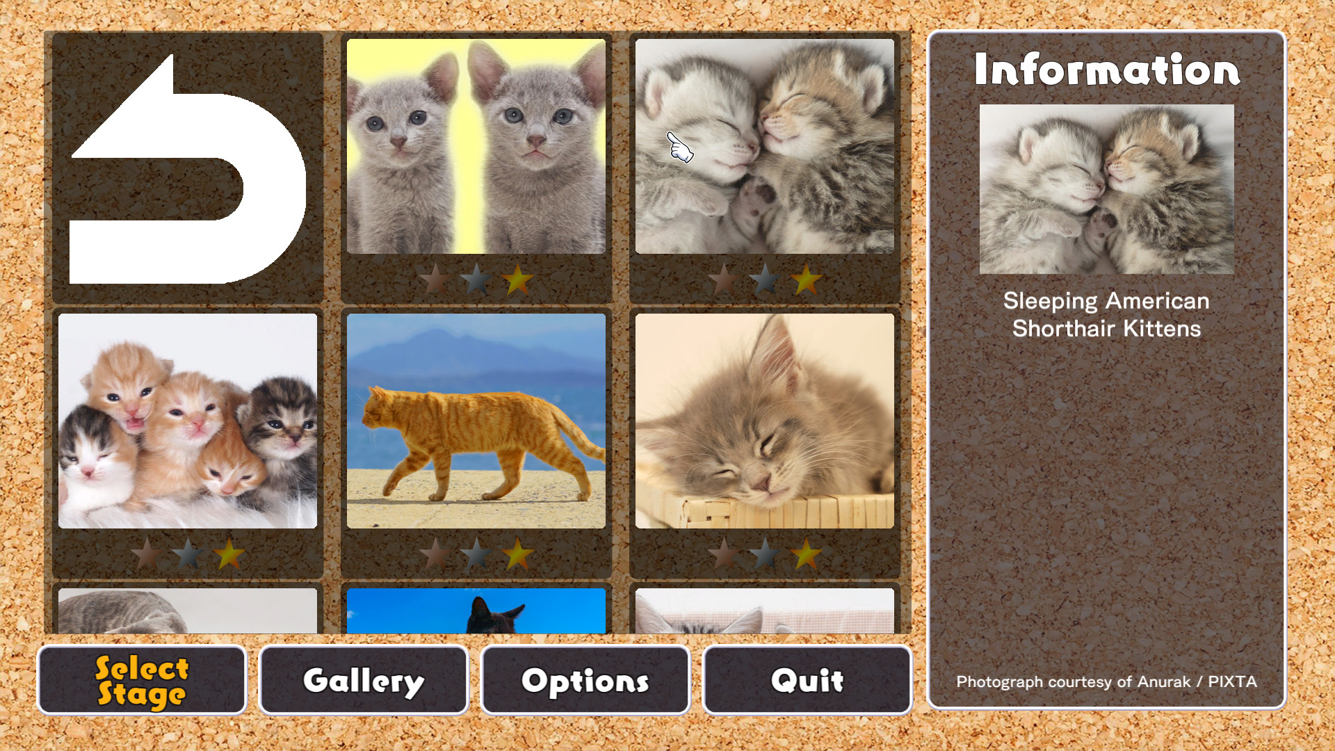 Jigsaw Masterpieces : Cute Lovely Cats Featured Screenshot #1