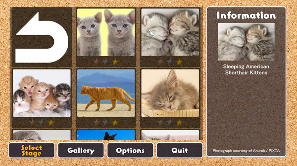 скриншот Jigsaw Masterpieces : Cute Lovely Cats 0