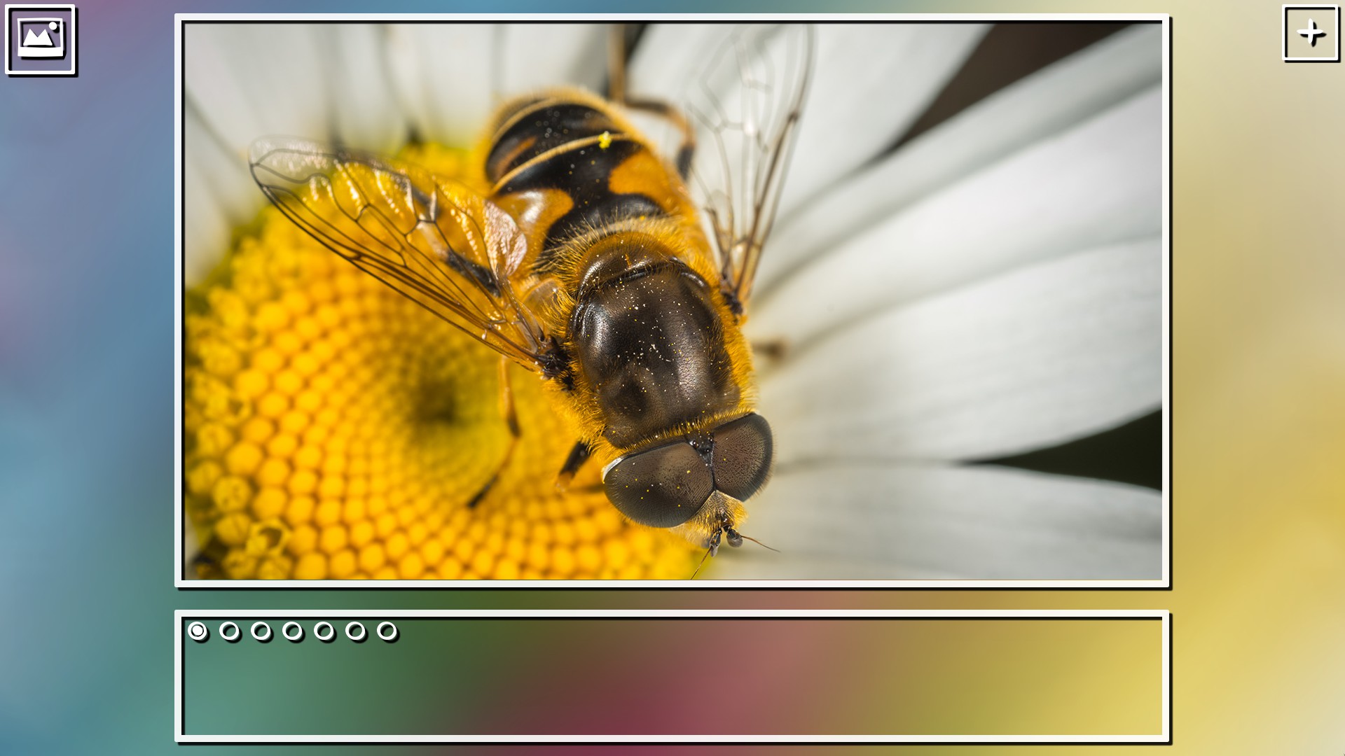 Super Jigsaw Puzzle: Generations #6